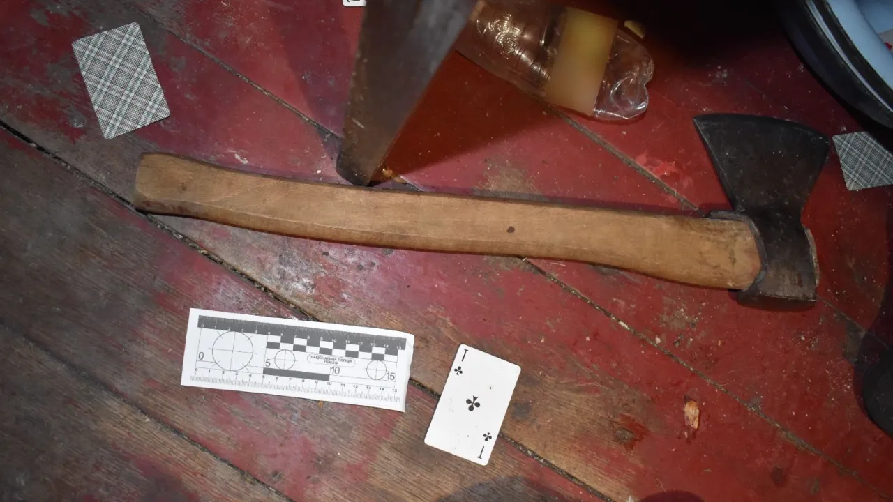 На Вінниччині жінка сокирою забила свого співмешканця 