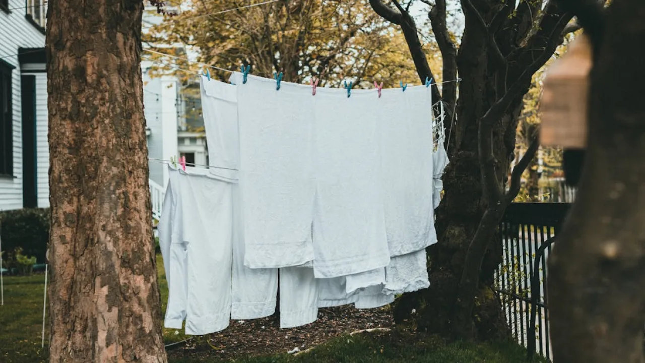 Як відбілити речі без допомоги оцту: експерти назвали потужний природний засіб 