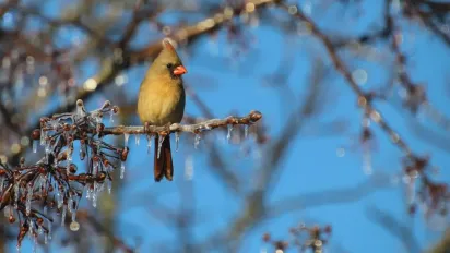 Синоптикиня повідомила, коли погода в Україні покращиться - фото