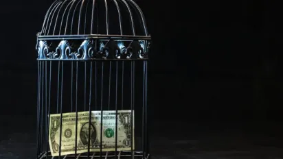 Що буде з курсом долара та цінами в Україні: прогноз на 2025 рік - фото