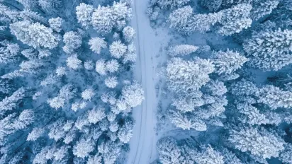 Гороскоп на 18 грудня: що чекає на всі знаки Зодіаку - фото