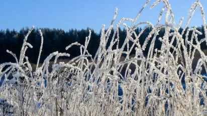 Найближча ніч принесе в Україну найнижчі градуси у перспективі, - синоптикиня Діденко - фото
