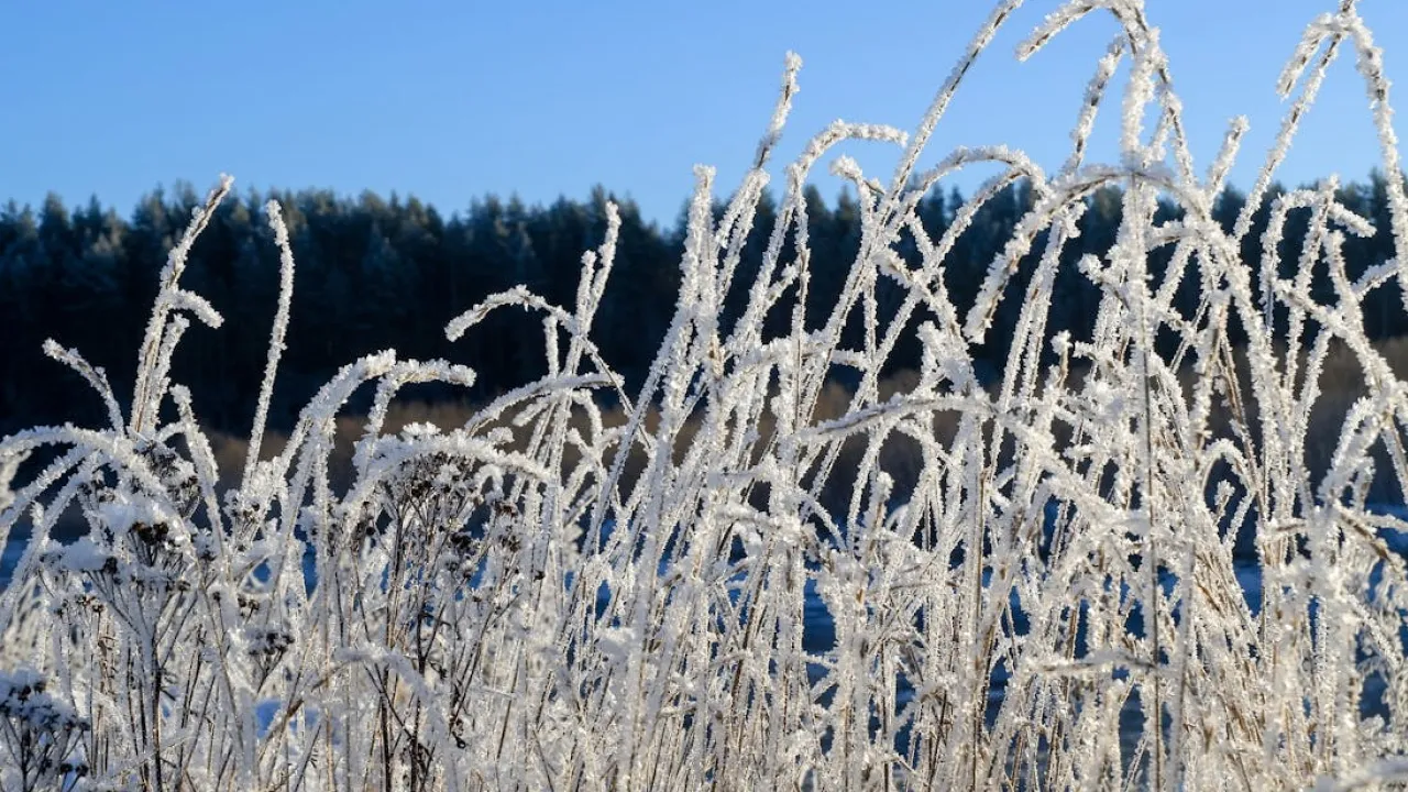 Найближча ніч принесе в Україну найнижчі градуси у перспективі, - синоптикиня Діденко 