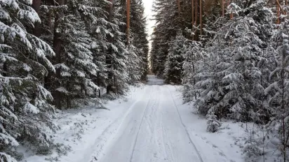 Погода на 20 грудня: в Україну прийде похолодання з дощами - фото