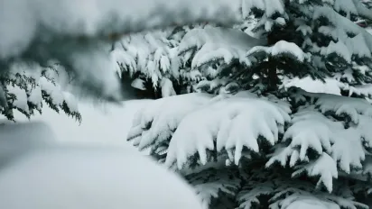 Гороскоп на 20 грудня 2024 року: що чекає на всі знаки Зодіаку  - фото