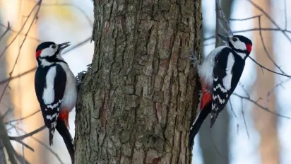 Синоптики попередили про погодну аномалію на вихідних: до чого готуватися - фото