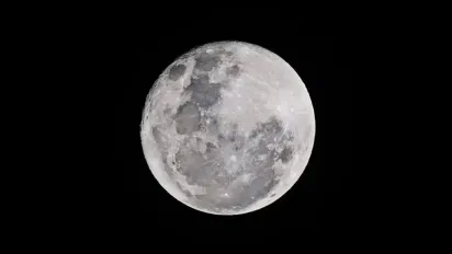 Посівний календар на грудень 2024 року: що і коли краще сіяти - фото