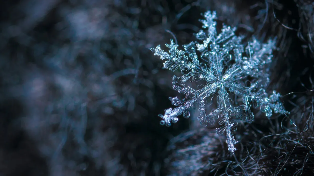 Гороскоп на 22 грудня 2024 року: що чекає на всі знаки Зодіаку 