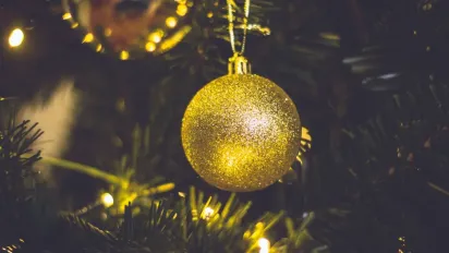 Гороскоп на 2025 рік для всіх знаків Зодіаку: що готує рік Зеленої Дерев'яної Змії - фото