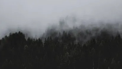 Погода на 24 грудня: у семи областях України оголосили I рівень небезпеки - фото