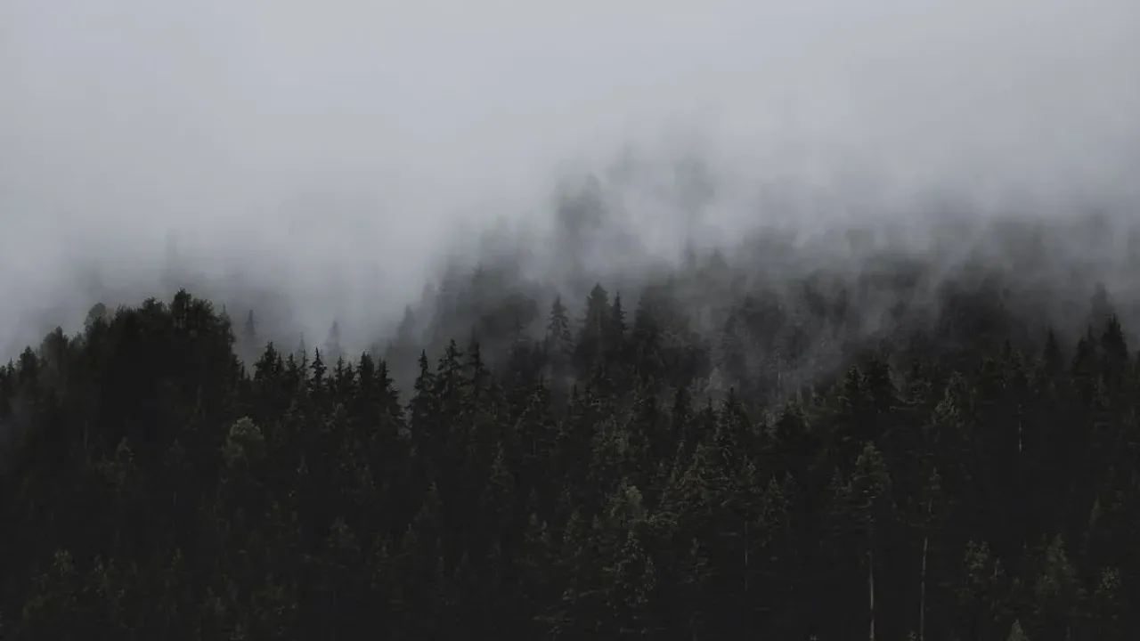 Погода на 24 грудня: у семи областях України оголосили I рівень небезпеки 