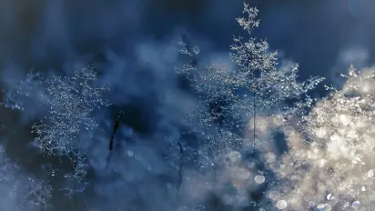 Гороскоп на 25 грудня 2024 року: що чекає на всі знаки Зодіаку - фото