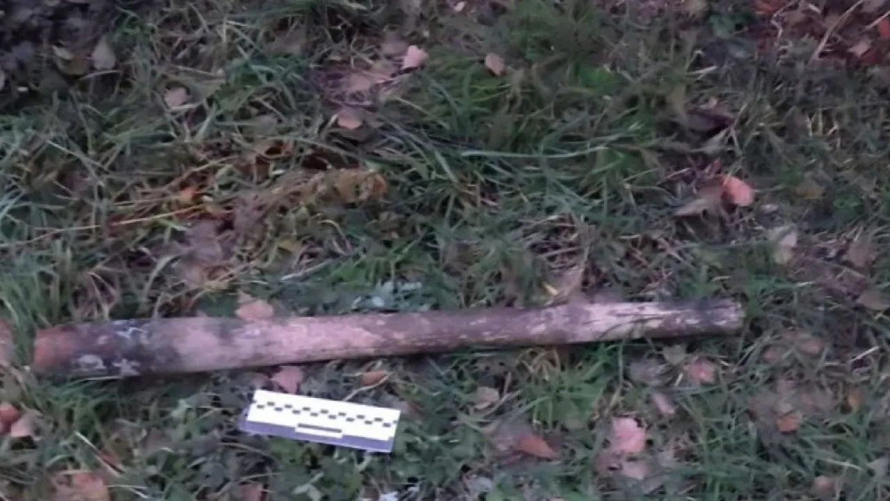 Забив палицею до смерті: на Київщині поліція затримала зловмисника 