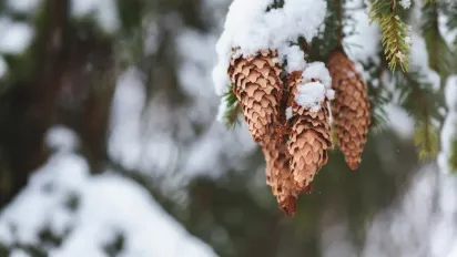 В Україну насувається атмосферний фронт: прогноз синоптика - фото