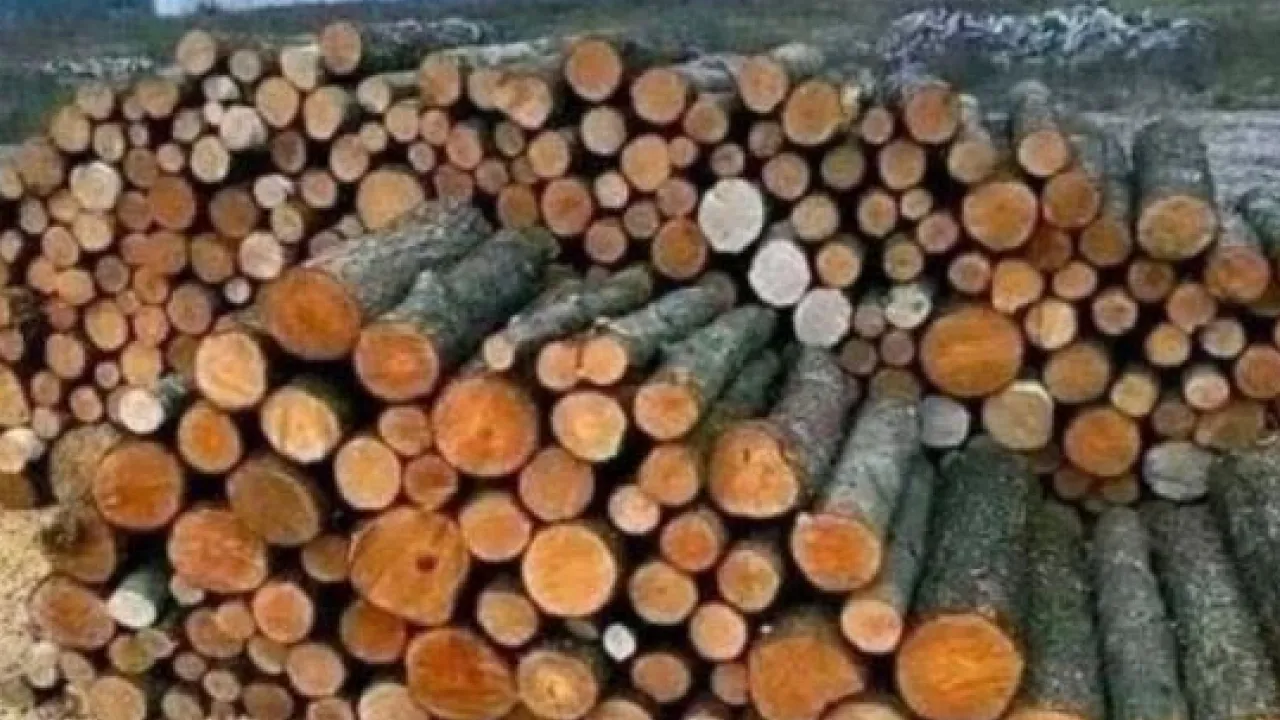 На Дніпропетровщині викрили шахрая, який заробив 100 тис. грн на продажі неіснуючих дров 