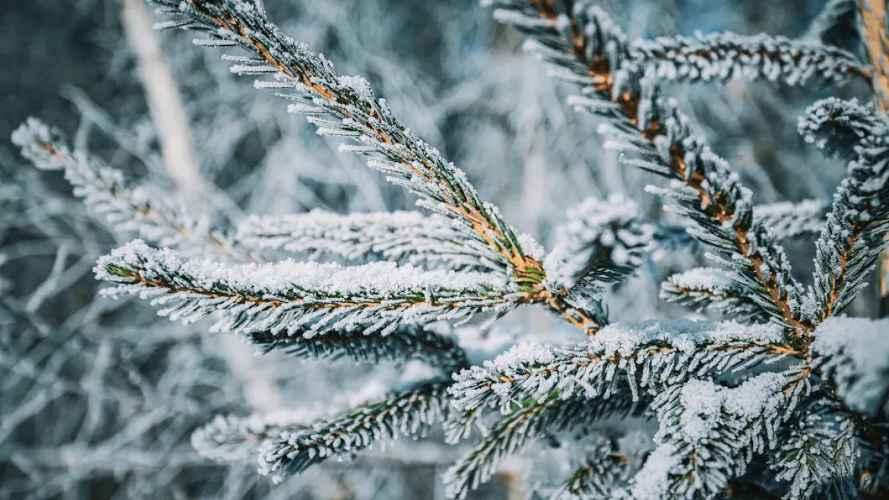 Антициклон "Гюнтер" накрив Європу: чого чекати від погоди в Україні 