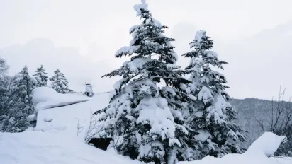 Погода у січні 2025: синоптикиня розповіла, чи чекати на сніг - фото