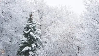 Гороскоп на 29 грудня 2024 року: що чекає на всі знаки Зодіаку - фото