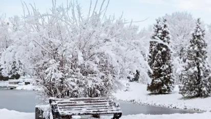 Гороскоп на 30 грудня 2024 року : що чекає сьогодні на всі знаки Зодіаку - фото