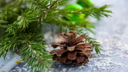 Погода на Новий рік: синоптики розповіли про прогноз на 31 грудня та 1 січня - фото