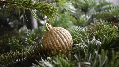 Погода на 31 грудня: синоптикиня розповіла, чого чекати в останній день року - фото