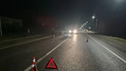 На Волині легковик на смерть переїхав жінку, яка лежала на дорозі - фото