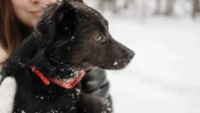 Гороскоп на 3 січня 2025 року для всіх знаків Зодіаку - фото