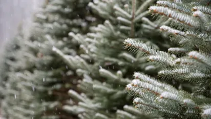 Гороскоп на 4 січня 2025 року для всіх знаків зодіаку - фото