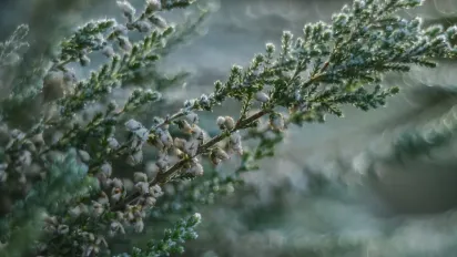 Синоптик попередив про аномальну погоду в Україні: прогноз на тиждень - фото