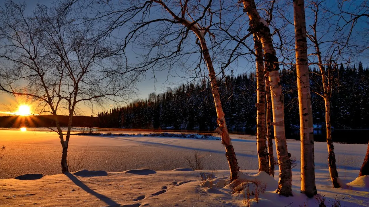 Гороскоп на 8 січня 2024 року: що чекає на всі знаки Зодіаку 