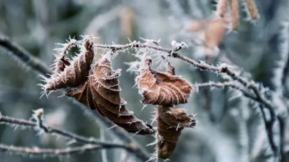 До України йде похолодання: синоптикиня назвала дату повернення морозів - фото