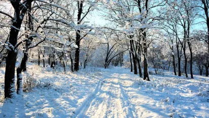 В Україну насуваються дощі, сніг та хуртовини: де вируватиме негода - фото
