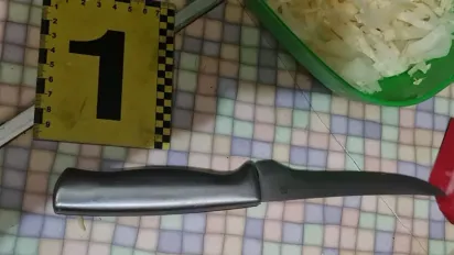 У Києві жінка під час застілля вбила ножем свого співмешканця - фото