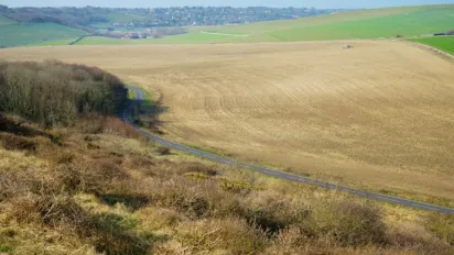 Мінагрополітики назвало область України з найвищою вартістю землі - фото