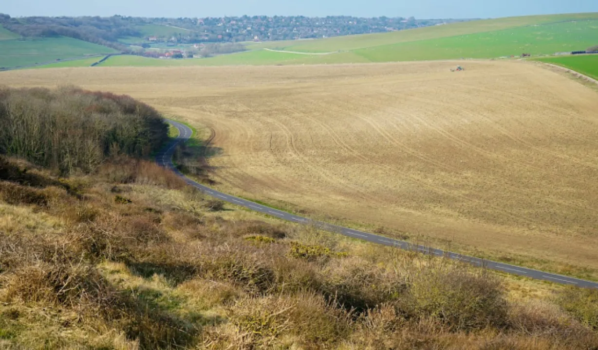 Мінагрополітики назвало область України з найвищою вартістю землі 