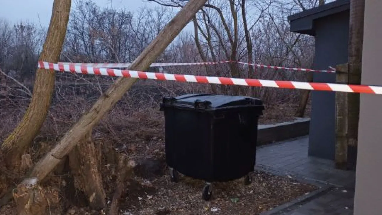 Запхала немовля у пакет і викинула у сміттєвий бак: на Черкащині розшукали 25-річну породіллю 