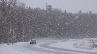 Завтра в Україну накриє зимова негода: які області під ударом - фото