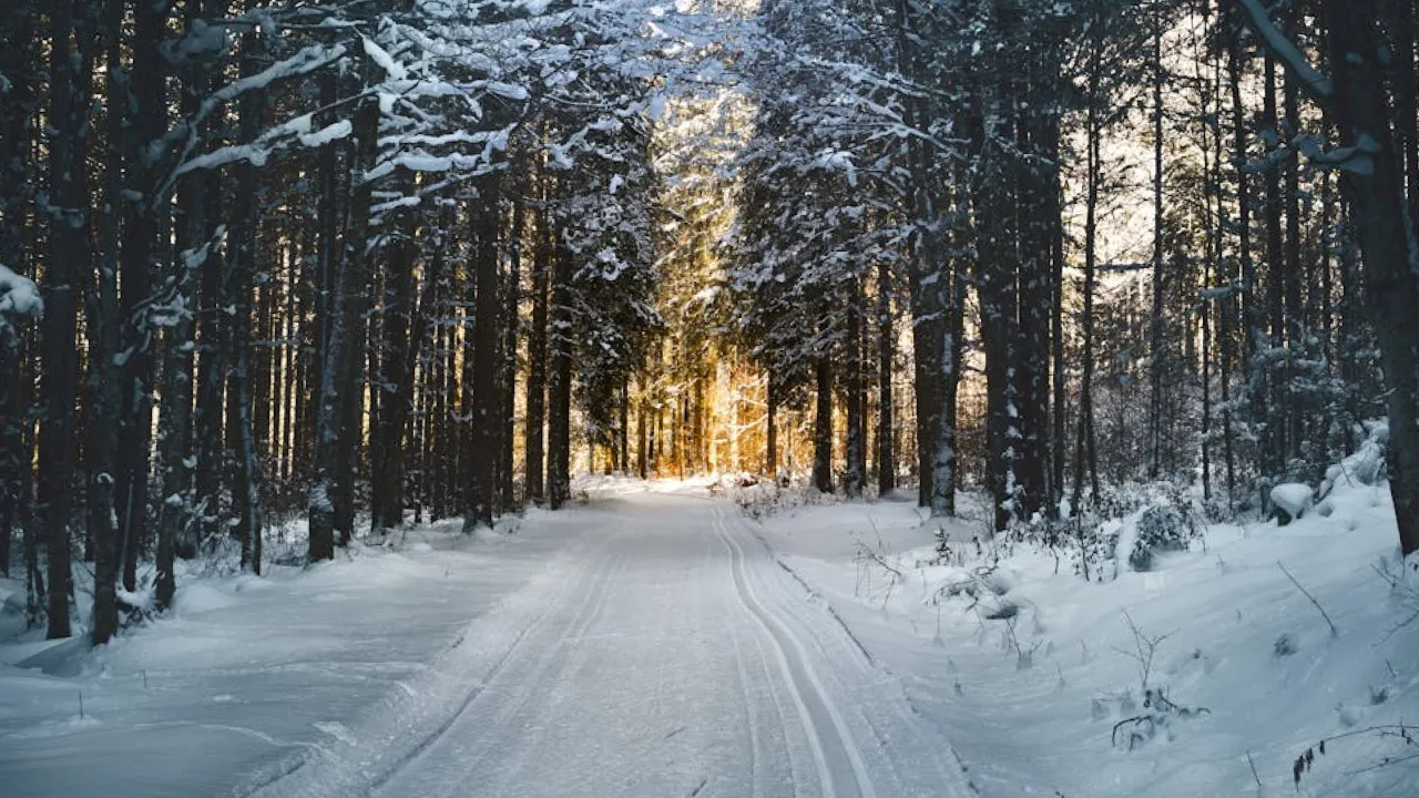Гороскоп на 10 січня 2024 року для всіх знаків Зодіаку 