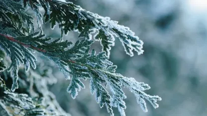 У восьми областях України оголосили жовтий рівень небезпеки (список) - фото