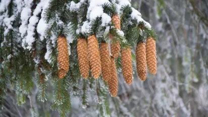 Гороскоп на 11 січня 2024 року для всіх знаків Зодіаку - фото