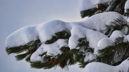 До України йде холод зі Скандинавії: синоптик розказав, якою буде погода  - фото
