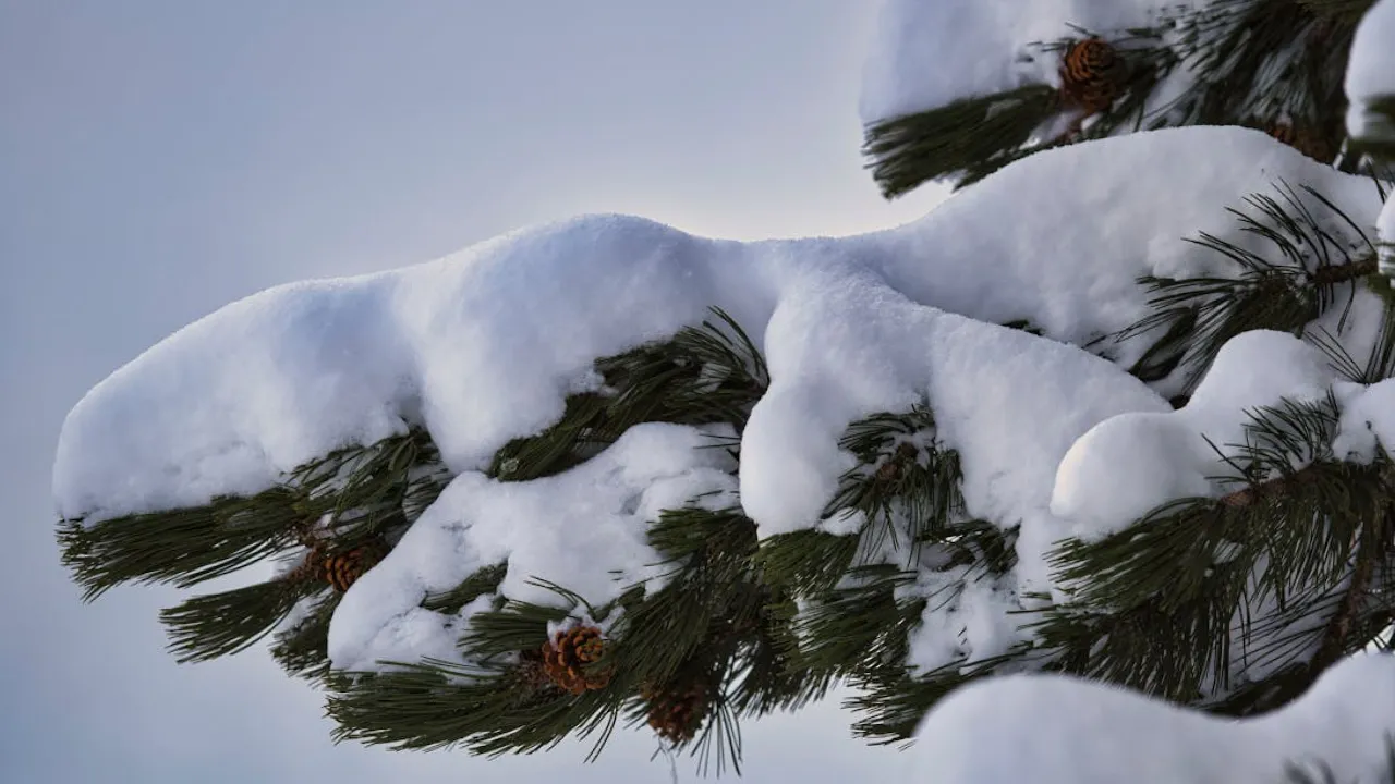 До України йде холод зі Скандинавії: синоптик розказав, якою буде погода  