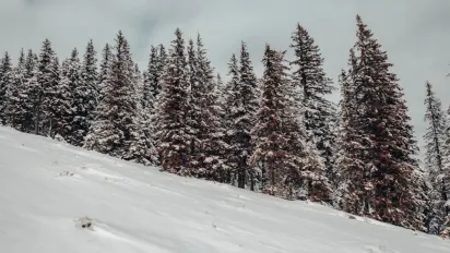 Гороскоп на 12 січня 2024 року для всіх знаків Зодіаку - фото