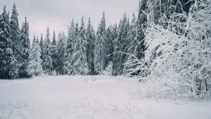 Гороскоп на 13 січня 2024 року для всіх знаків Зодіаку - фото