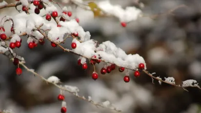 "Сонячно, але морозно": прогноз на 13 січня від Наталки Діденко - фото