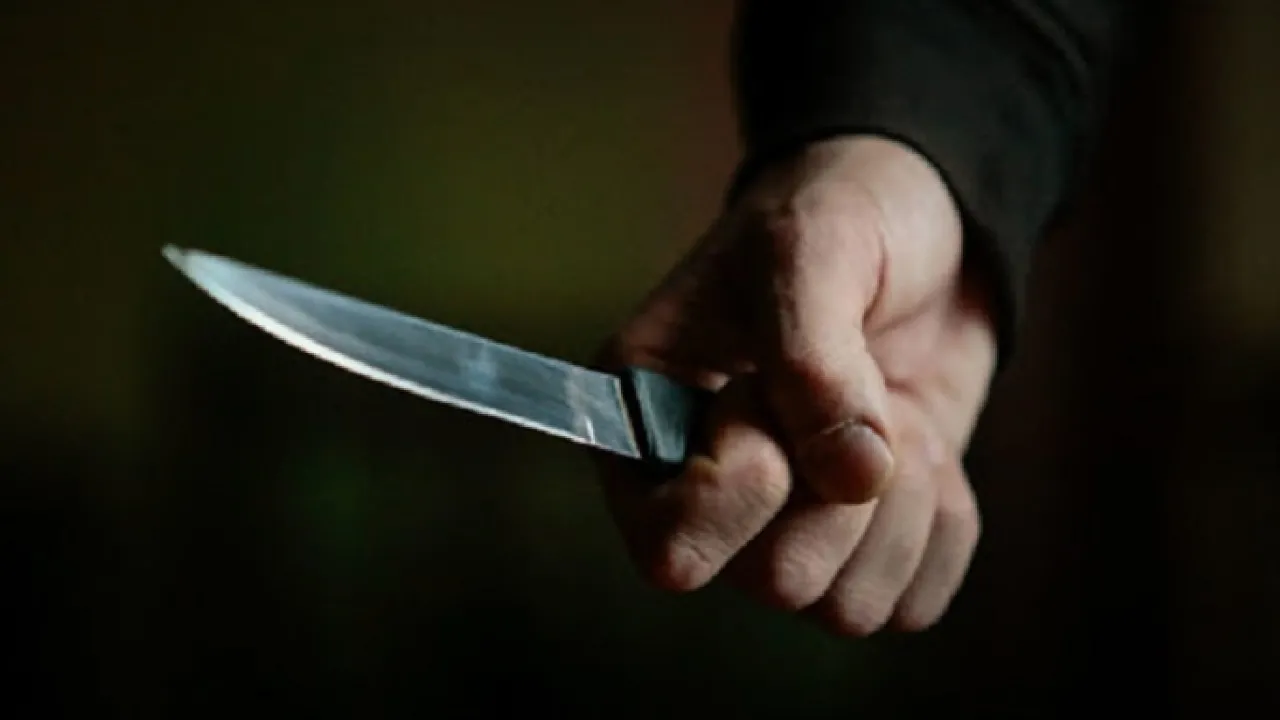 На Полтавщині чоловік зарізав співмешканку кухонним ножем: жінка померла на очах у сина 