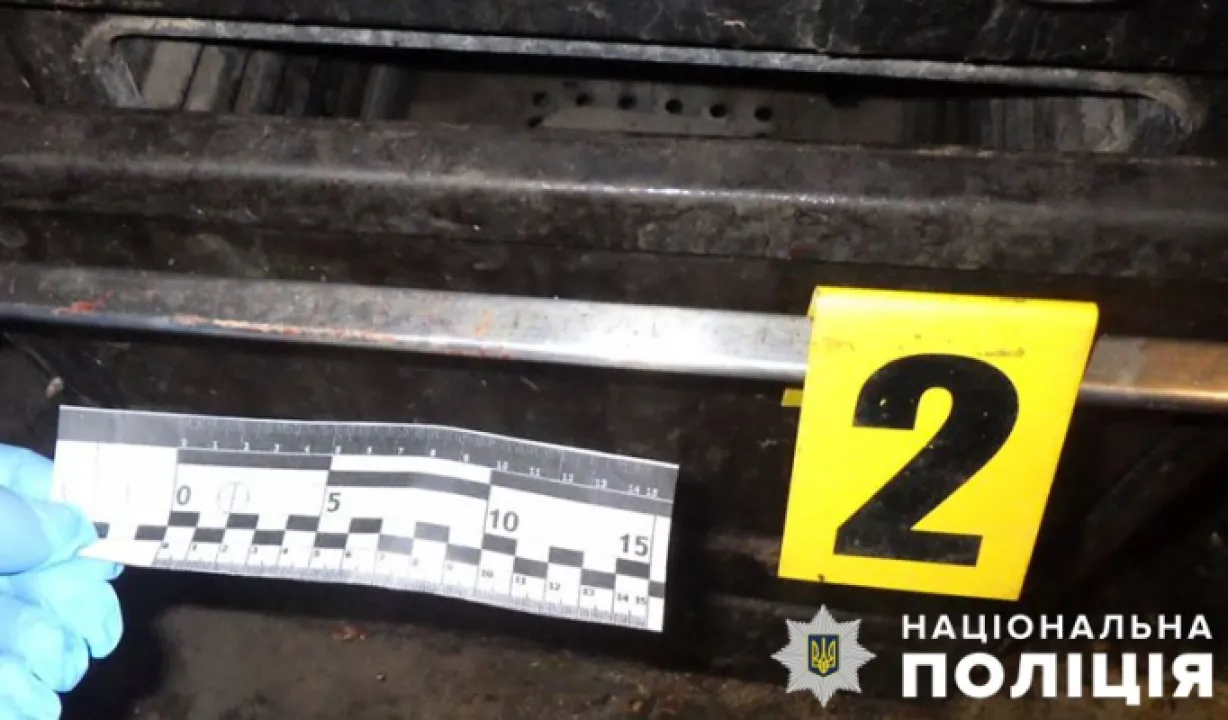 На Київщині чоловік жорстоко забив до смерті власну матір 