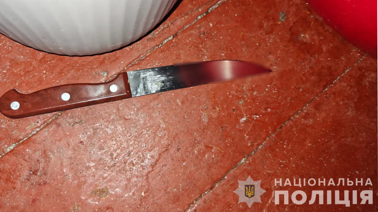 На Дніпропетровщині жінка вбила брата ударом ножа 