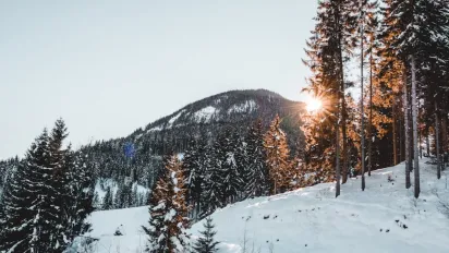 Гороскоп на 15 січня 2024 року для всіх знаків Зодіаку - фото