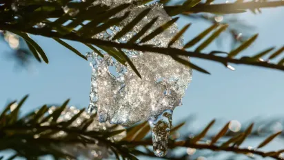 В Україні почне теплішати: прогноз до кінця тижня - фото